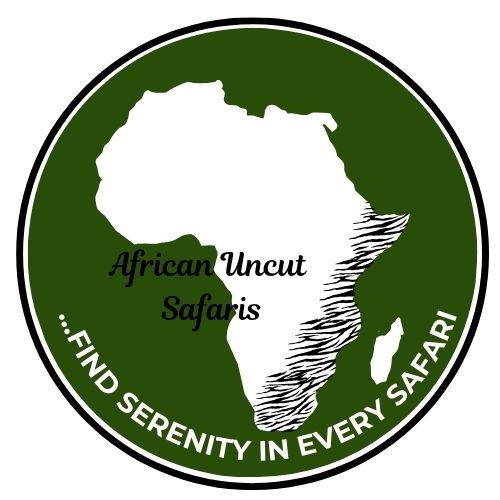 Africa Uncut