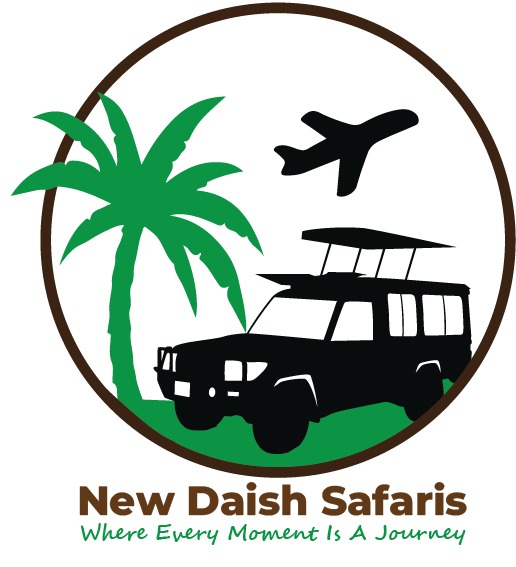 New Daish